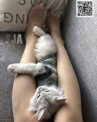 百花缭乱动画第一季_剧情片在线观看电视