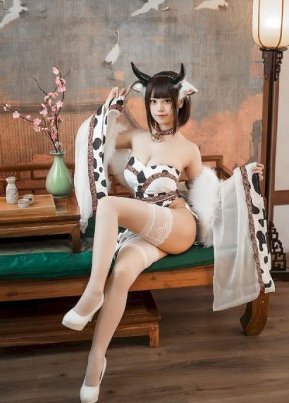 文豪野犬4季免费观看简体中文_HDHD在线观看